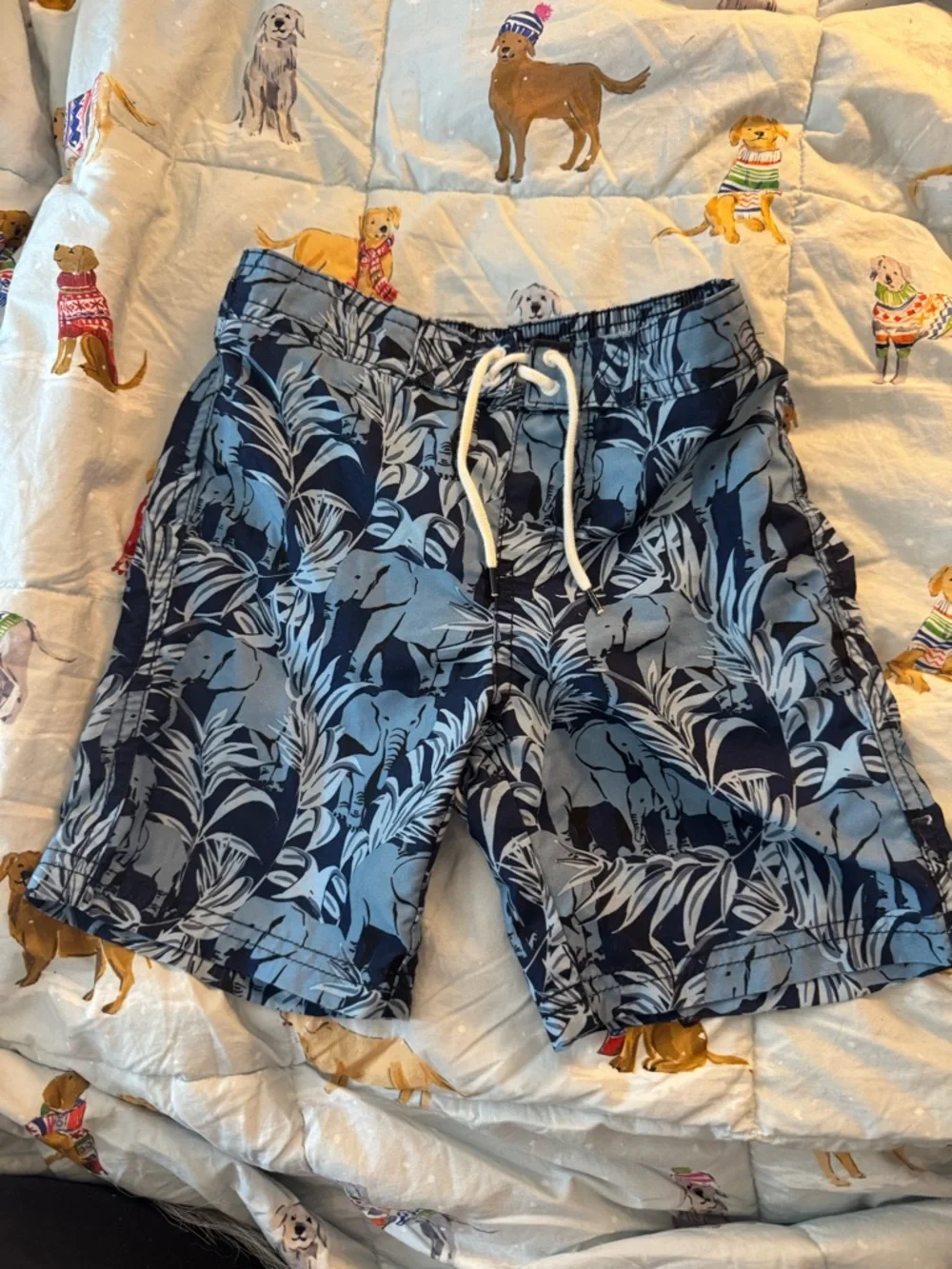 Janie and jack swim trunks size 3